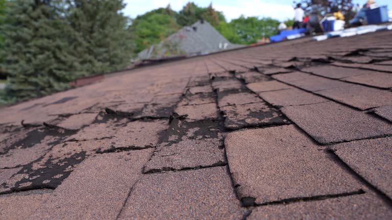 Best Roof Leak Repair  in University Center, VA